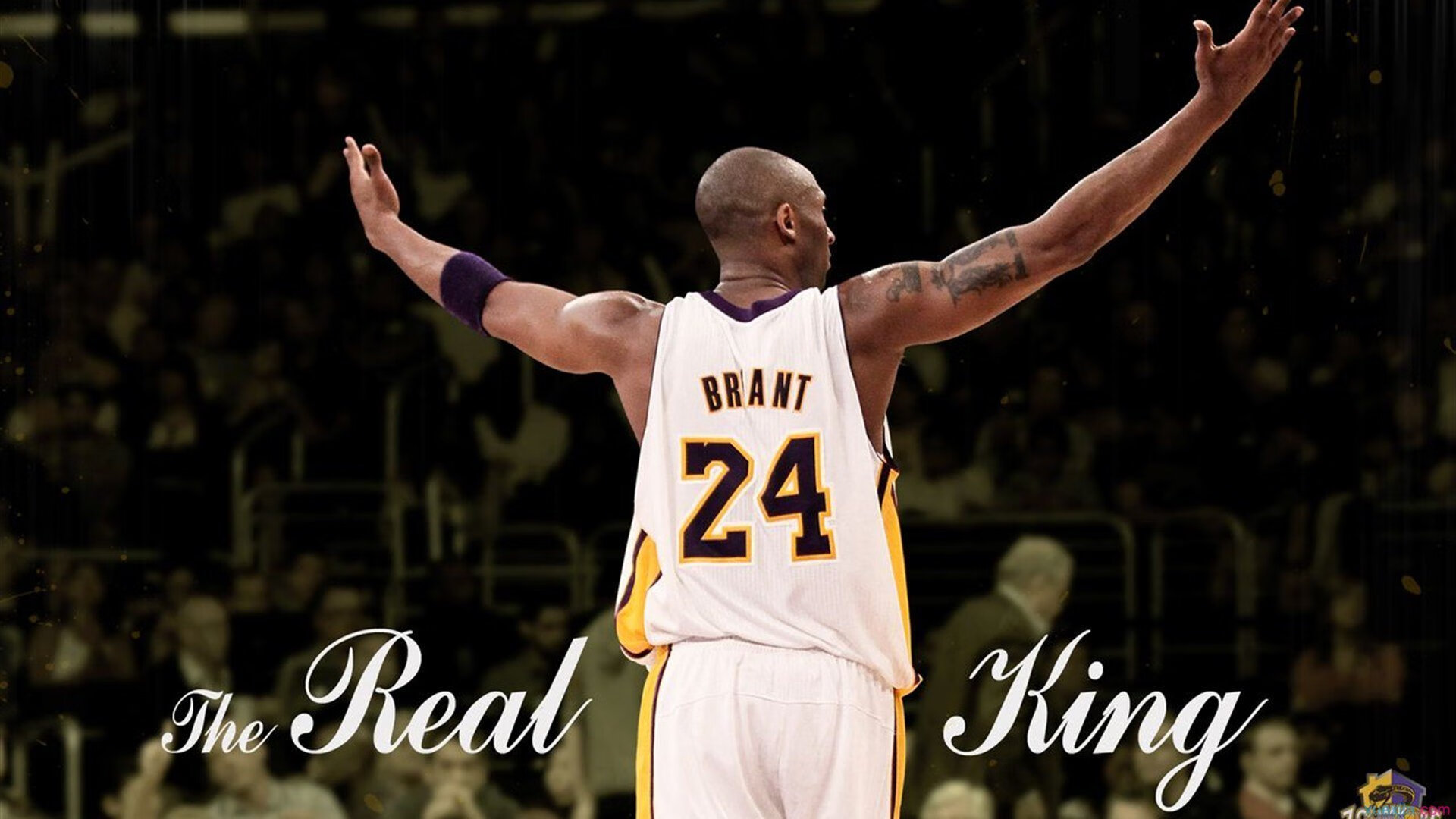 NBA球员职业发展路径与转型策略研究，nba职业化